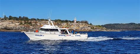 corporate fishing charter sydney|Wahoo Fishing Charters Sydney .